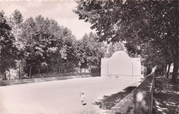 Saint Palais - Le Fronton Et Les Ombrages   - CPSM°J - Saint Palais