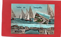 ITALIE---Saluti Da SENIGALLIA---multi-vues---voir  2 Scans - Senigallia