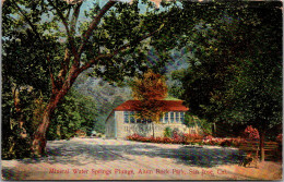 California San Jose Alum Rock Park Mineral Water Springs Plunge 1910 - San Jose