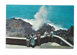 UNITED STATES OF AMERICA USA - HAWAII - OAHU - BLOW HOLE - Oahu