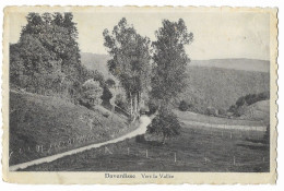 DAVERDISSE  --  Vers La Vallée - Daverdisse