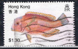 Hong Kong 1981 A Single Stamp From The Set To Celebrate Fish In Fine Used - Oblitérés