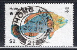 Hong Kong 1981 A Single Stamp From The Set To Celebrate Fish In Fine Used - Oblitérés