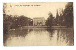 Diepenbeek.   -   Château De Jongenbosch   -   1947   Naar   Bruxelles - Diepenbeek