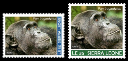 SIERRA LEONE SET 2V 2023 - APE APES MONKEY MONKEYS SINGE SINGES CHIMPANZEE CHIMPANZE CHIMPANZEES CHIMPANZES - MNH - Schimpansen