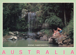 1 AK Australien * Cool Charm Of Australia's Scenic Rainforests * - Autres & Non Classés