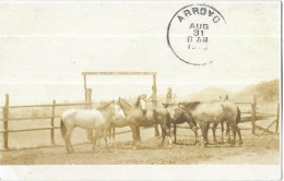 CARTE-PHOTO Cachet De Départ ARROYO: Chevaux - Oakland