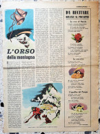 709> Favola Di NATALE < CORRIERE DEI PICCOLI 1955 "L'Orso Della Montagna" Di Vera Luce Lilli - Da Incorniciare! - Autres & Non Classés