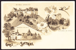 Um 1900 Gelaufene Litho AK: Gruss Aus Dem Seethal. Schloss Lenzburg, Hallwyl Und Wildegg - Lenzburg