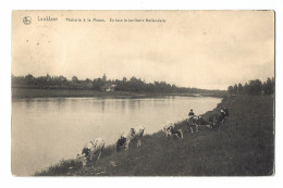 Lanklaar   -   Pêcherie à La Meuse.      1914   Mooi Kaartje!   -   Naar   Liége - Dilsen-Stokkem