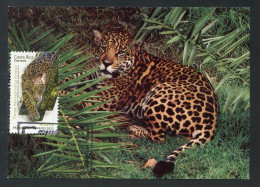 COSTA RICA (2022) Parque Nacional La Amistada, Jaguar, Panthera Onca - Carte Maximum Card WWF - Costa Rica