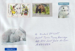 Polar Bear,Svalbard & Brown Bear Of Norway, Letter 2023 Of Norway To Andorra (Principat) - Lettres & Documents