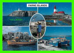 FARNE ISLANDS, UK - 5 MULTIVUES - INNER FARNE, LONGSTONE, PINNACLES, BOAT TRIPS, CLAUGHTON PHOTOGRAPHY - - Autres & Non Classés