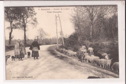 87 Nantiat Avenue De La Gare Berger Chien Mouton Fileuse Chevre Goat - Nantiat