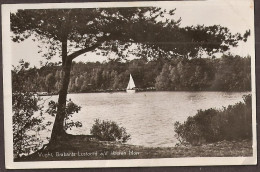 Vught - Brabants Lustoord A/d/ Ijzeren Man - 1949 - Vught