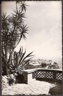 Monaco - Le Rocher Vu De La Terrasse Du Jardin Exotique - 1949 - Terrassen