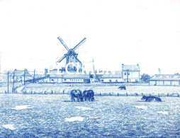 De Grote Macht Of De Witte Molen - Moorsele - Wevelgem