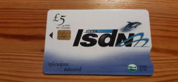 Phonecard Cyprus 08/02 - ISDN, Dolphin - Cipro