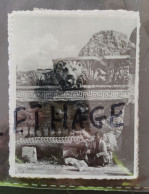 LIBAN BAALBEK ORNEMENT FRISE ET CORNICHE DU GRAND TEMPLE PHOTOGRAPH EARLY 1900s #1/113 PAPER VELOX - Asia