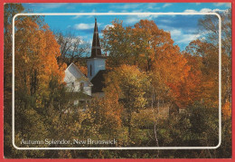 Canada - New Brunswick : Chapelle Et Couleurs D'automne - Carte écrite 1990 BE - Other & Unclassified