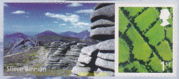 705379 MNH GRAN BRETAÑA. Irlanda Del Norte 2008 EMISION REGIONAL - IRLANDA DEL NORTE - Irlande Du Nord