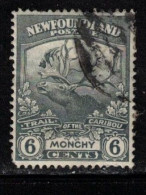 NEWFOUNDLAND Scott # 120 Used - Trail Of The Caribou Issue - Monchy - 1865-1902