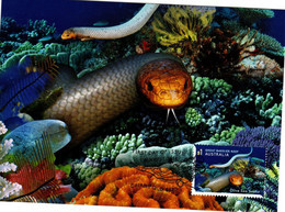 Australia 2018  Reef Safari ,Olive Sea Snakes,Maximum Card - Maximum Cards