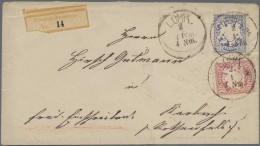 Bayern - Marken Und Briefe: 1876, 10 Pf Hellilarosa U. 20 Pf Graublau, Beide Mar - Other & Unclassified