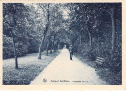 LUXEMBOURG - Mondorf Les Bains - Promenades Au Parc - E A Schaack - Nels - Carte Postale - Bad Mondorf