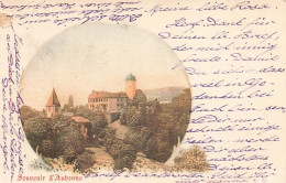 Souvenir D'Aubonne Le Château Litho 1900 - Aubonne