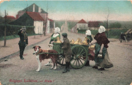 BELGIQUE - Belgique Trailières - Halte - Colorisé - Chiens - Laitières - Carte Postale Ancienne - Other & Unclassified