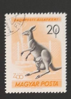 SD)1961. HUNGARY. KANGAROO. USED - Collections