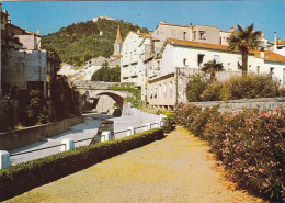 66. AMELIE LES BAINS. CPSM. VUE SUR LE MONDONY ET LE FORT. ANNÉE 1967+ TEXTE - Amélie-les-Bains-Palalda