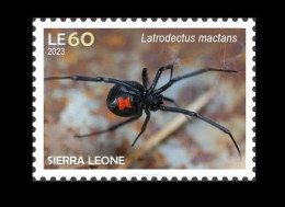 SIERRA LEONE 2023 STAMP 1V - POISONOUS TOXIC VENOMOUS - SPIDERS SPIDER ARAIGNEE BLACK WIDOW VEUVE NOIRE - MNH - Ragni