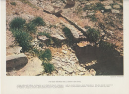 Photo  -  Reproduction -  Une Des Sources De La Seine Côte D'or - Près De La Ferme De Vergerots - Europe