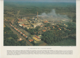 Photo  -  Reproduction -  La Cellulose Du Pin à Facture Gironde - Europe