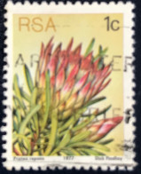 South Africa - RSA - C14/22 - 1977 - (°)used - Michel 512 - Protea - Gebraucht