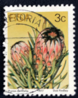 South Africa - RSA - C14/22 - 1977 - (°)used - Michel 514 - Protea - Gebraucht