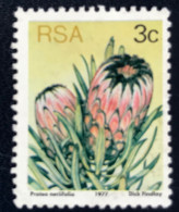 South Africa - RSA - C14/22 - 1977 - (°)used - Michel 514 - Protea - Gebruikt