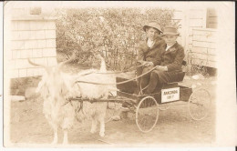 USA - Carte-photo Goat Cart Anaconda Montana 1917 - Anaconda
