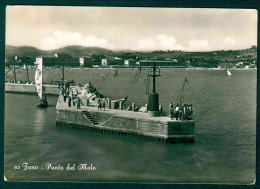 MT151 - FANO - PUNTA DEL MOLO - ANIMATA 1954 - Fano