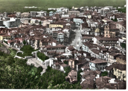 NICASTRO (LAMEZIA TERME) PANORAMA - BROMOCOLOR - VG FG - C6765 - Lamezia Terme