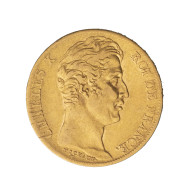 Charles X-20 Francs 1828 Paris - 20 Francs (or)
