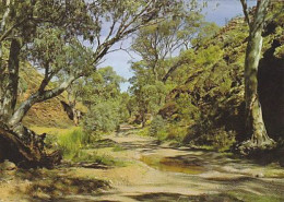 AK 165192 AUSTRALIA - South Australia - Flinders Ranges - Flinders Ranges