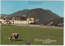 D5037) GRUSS Aus STAMS - Tirol  - Kuh Auf Wiese Mit Stift Und Kleiner Kirche Am Hang Dahinter - Stams