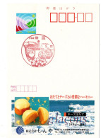 70046 - Japan - 1993 - ¥41 ReklameGAKte "Muschelkonfekt" M Handwerbestpl HOKKAIDO - TOKORO - Coquillages