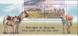 Asses Of Ladakh And Kutch, 2V MS, 2013 MSALM2P20 - Donkeys