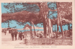 83 / TAMARIS / ETABLISSEMENT VIAL / LES TERRASSES - Tamaris