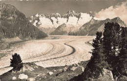 SUISSE - Valais - Riederalp - Blick Von Aletschwald - Carte Postale - Riederalp