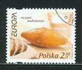 POLAND 2005 MICHEL NO 4183 STAMP USED - Gebraucht